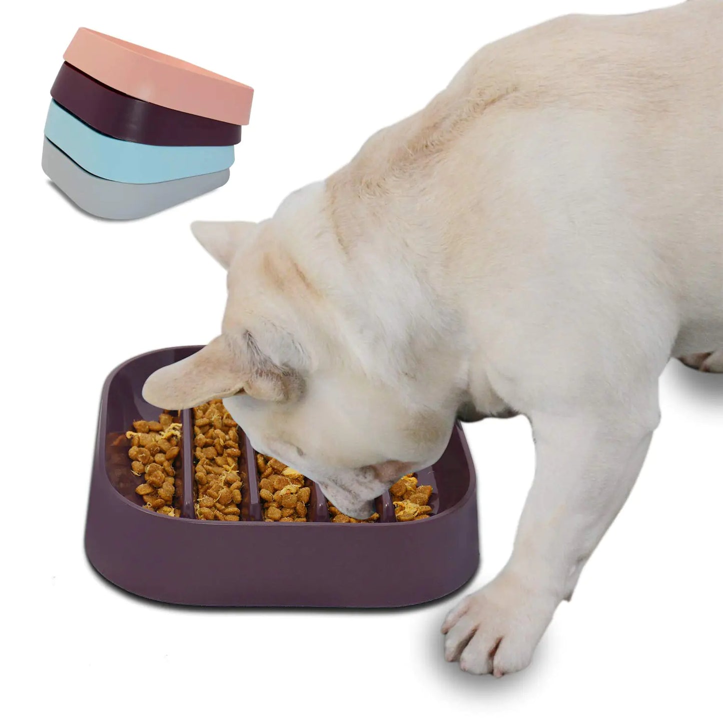 Healthy Slow Feeding Dog Bowl