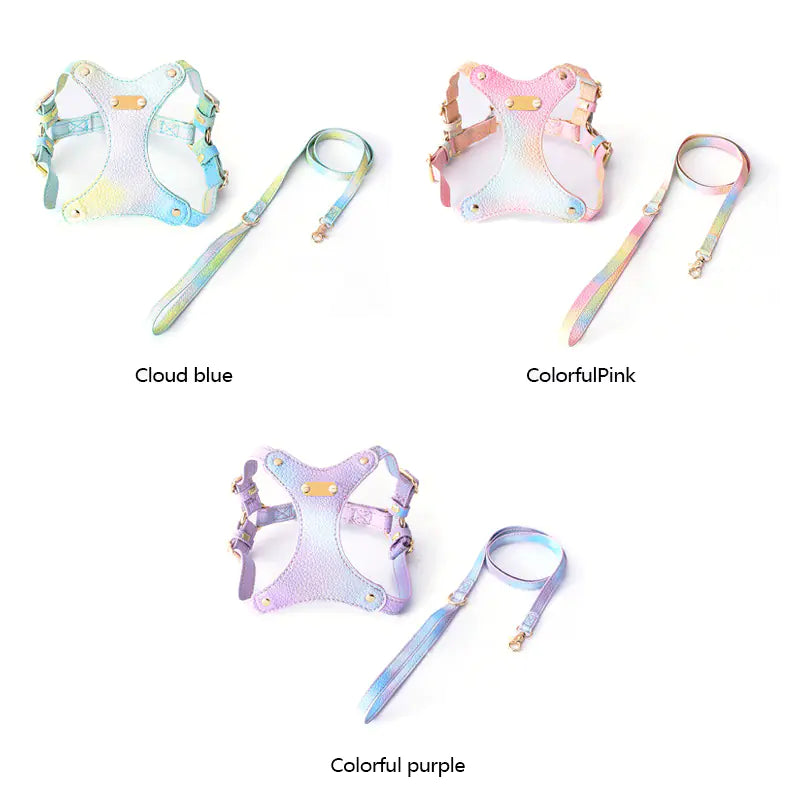 Adjustable Waterproof Leather Pet Harness for Small Dogs