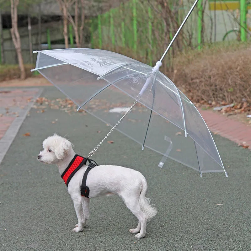 Rainstop Umbrella With Dog Leash