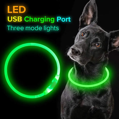 USB Rechargeable Pet Flashing Safety Collar for Night Walks