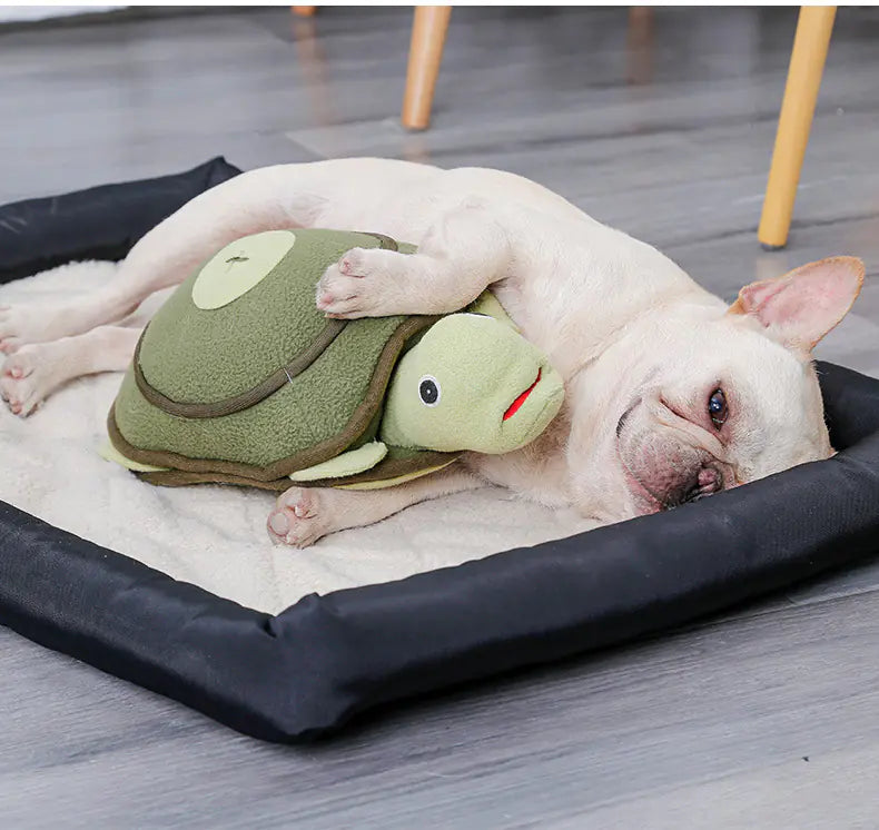 Squeaky Plush Turtle Dog Toy for Training and Play