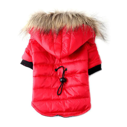 Winter Pet Jacket for Dogs