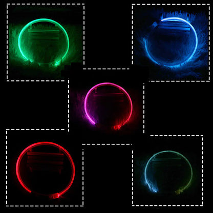 USB Rechargeable Pet Luminous Collar with 3 Modes