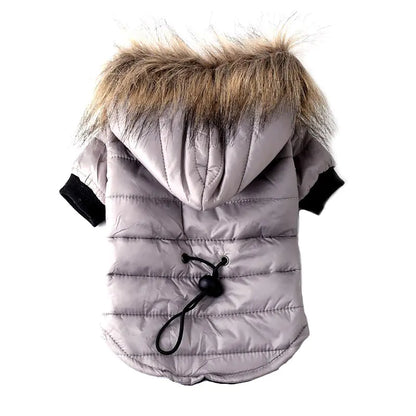 Winter Pet Jacket for Dogs
