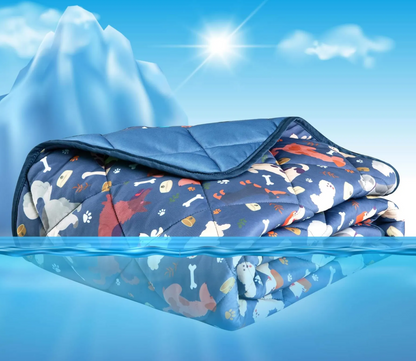 Premium Cooling Mat Blanket for Dogs Cat Puppies | Ice Silk Blanket 22 x 28