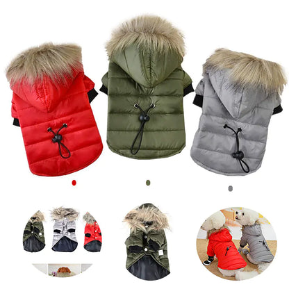 Winter Pet Jacket for Dogs