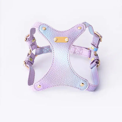 Adjustable Waterproof Leather Pet Harness for Small Dogs