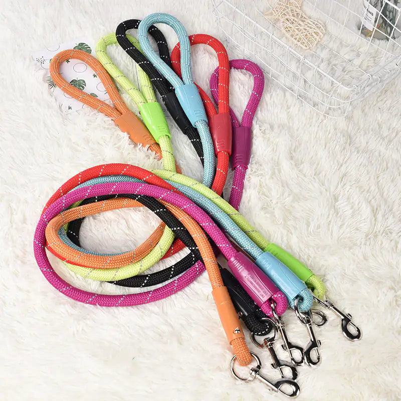 Small Dog Leash with P Chain for Pets