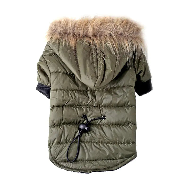 Winter Pet Jacket for Dogs