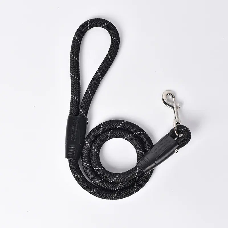 Small Dog Leash with P Chain for Pets