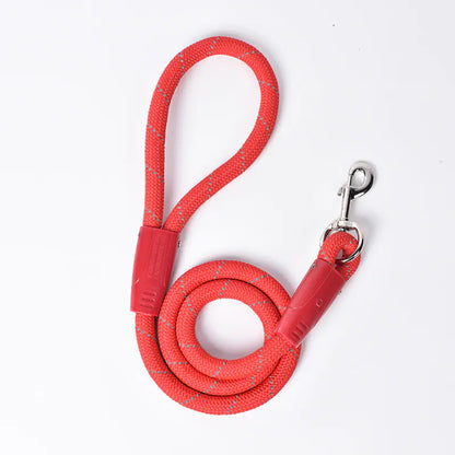 Small Dog Leash with P Chain for Pets